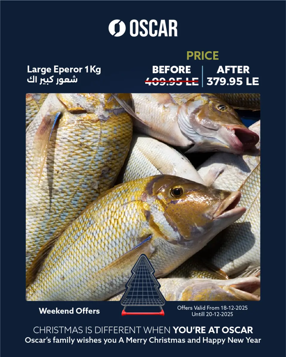 Oscar Grand Stores Egypt Offers from 18 to 20 December 2025 Weekend Deals - Page 5