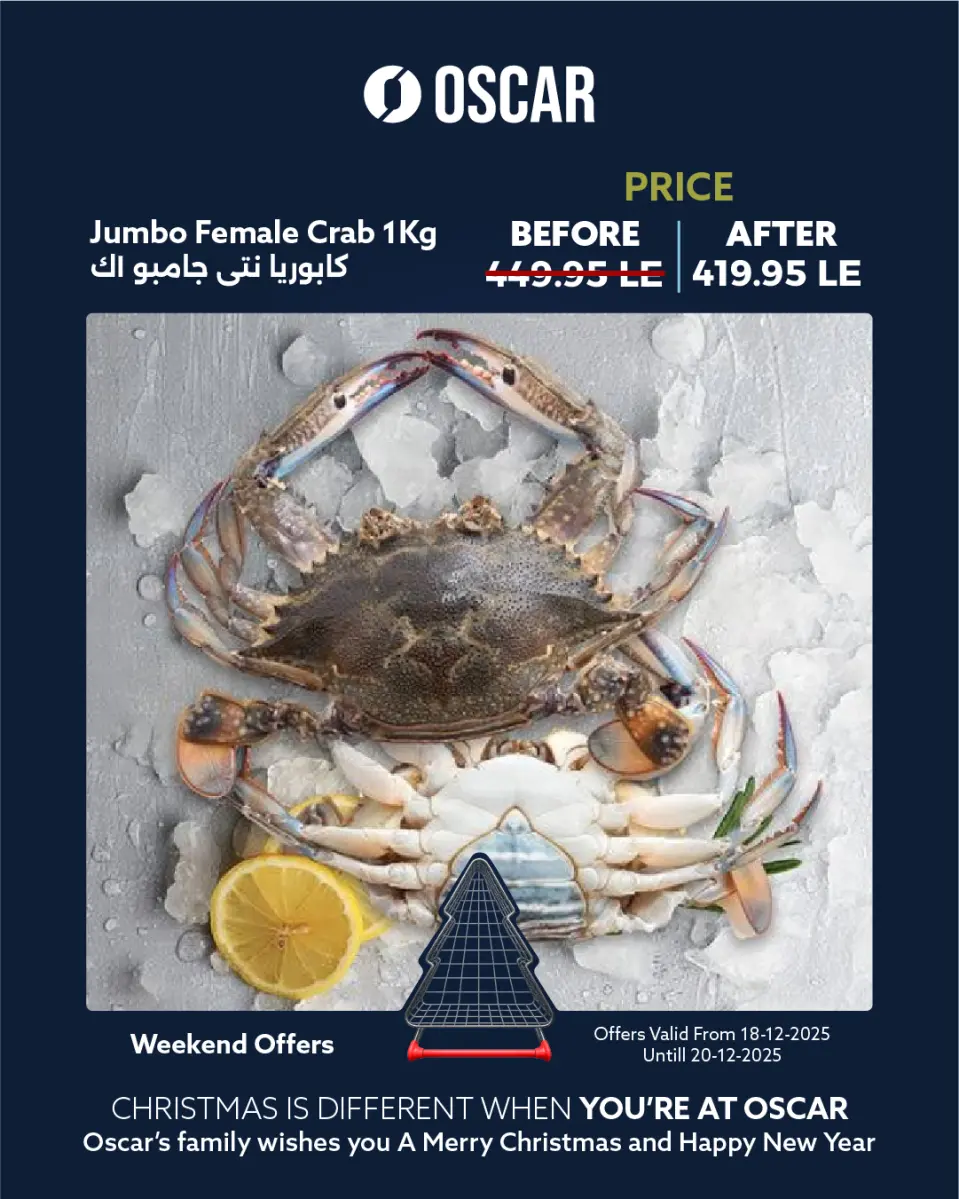 Oscar Grand Stores Egypt Offers from 18 to 20 December 2025 Weekend Deals - Page 9