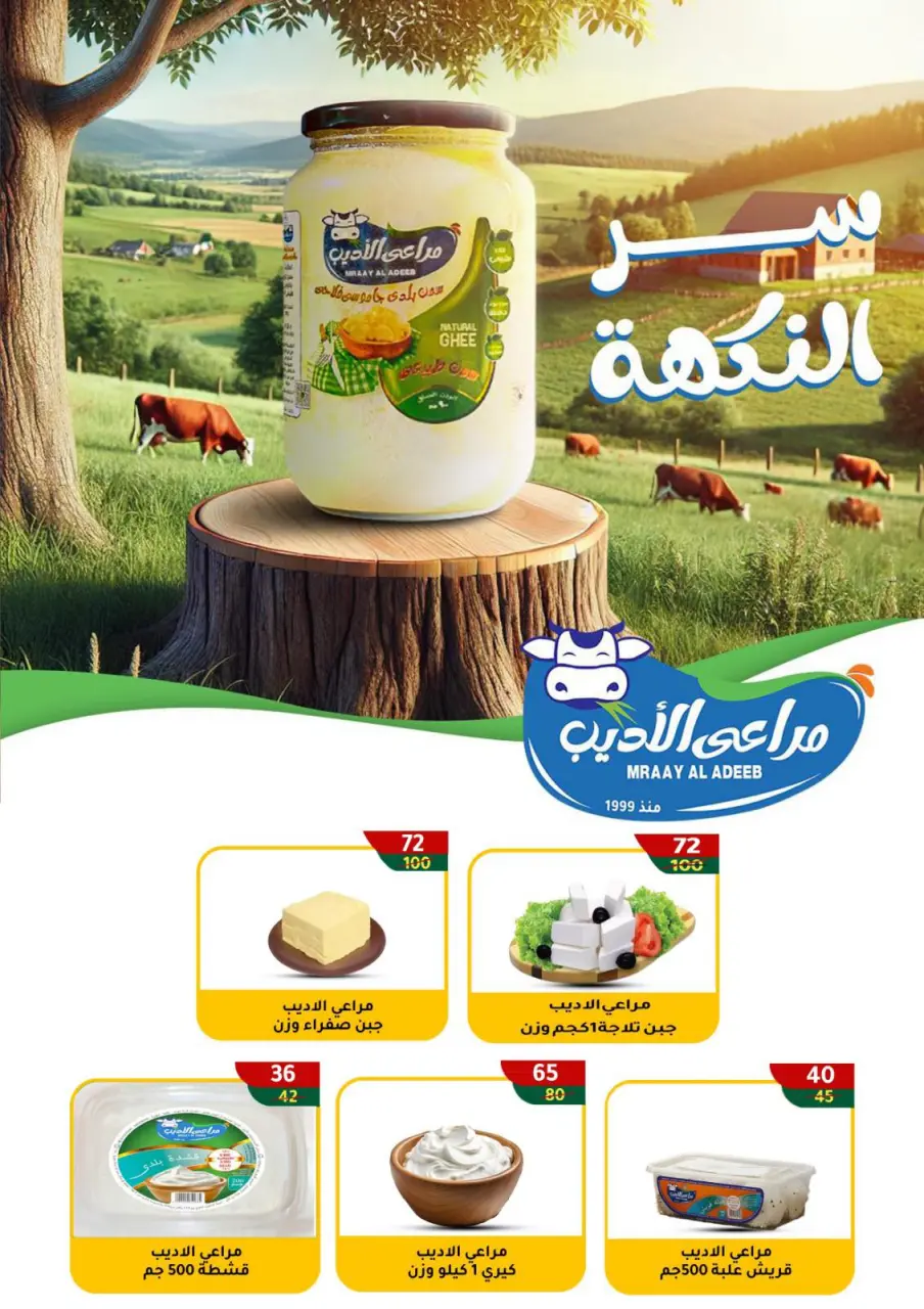 Wekalet Elmansoura Egypt Offers from 15 December to 12 January 2026 Winter Deals - Page 41