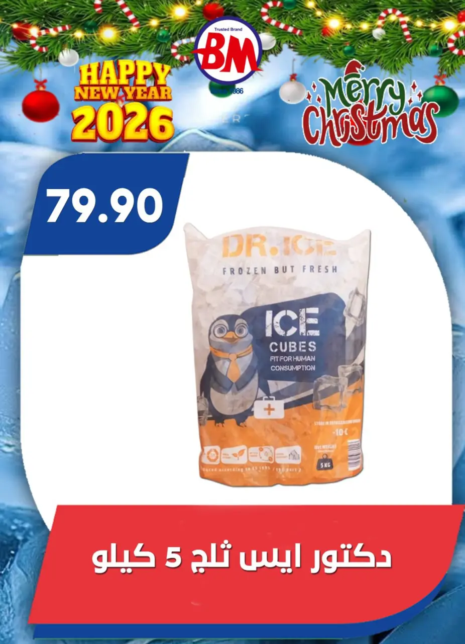 Bassem Market  Helioplis and Al-Rehab  Offers from 18 to 28 December Christmas Offers - Page 23