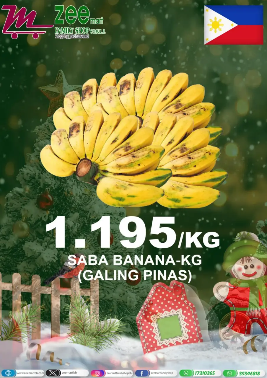 Ofertas de Zee mercado Bahréin de 19 diciembre a 10 enero 2026 ofertas de navidad - Página 2