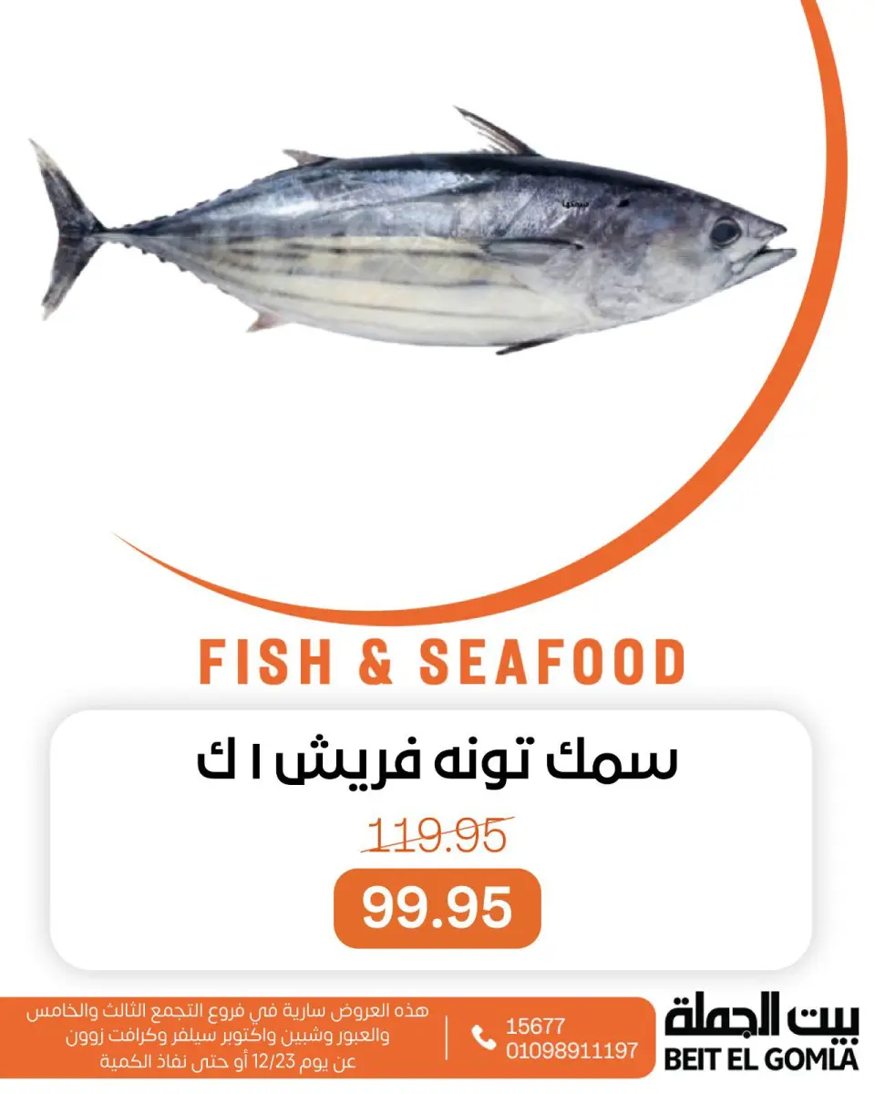 Gomla House Egypt Offers Tuesday 23 December Seafood Deals - Page 13
