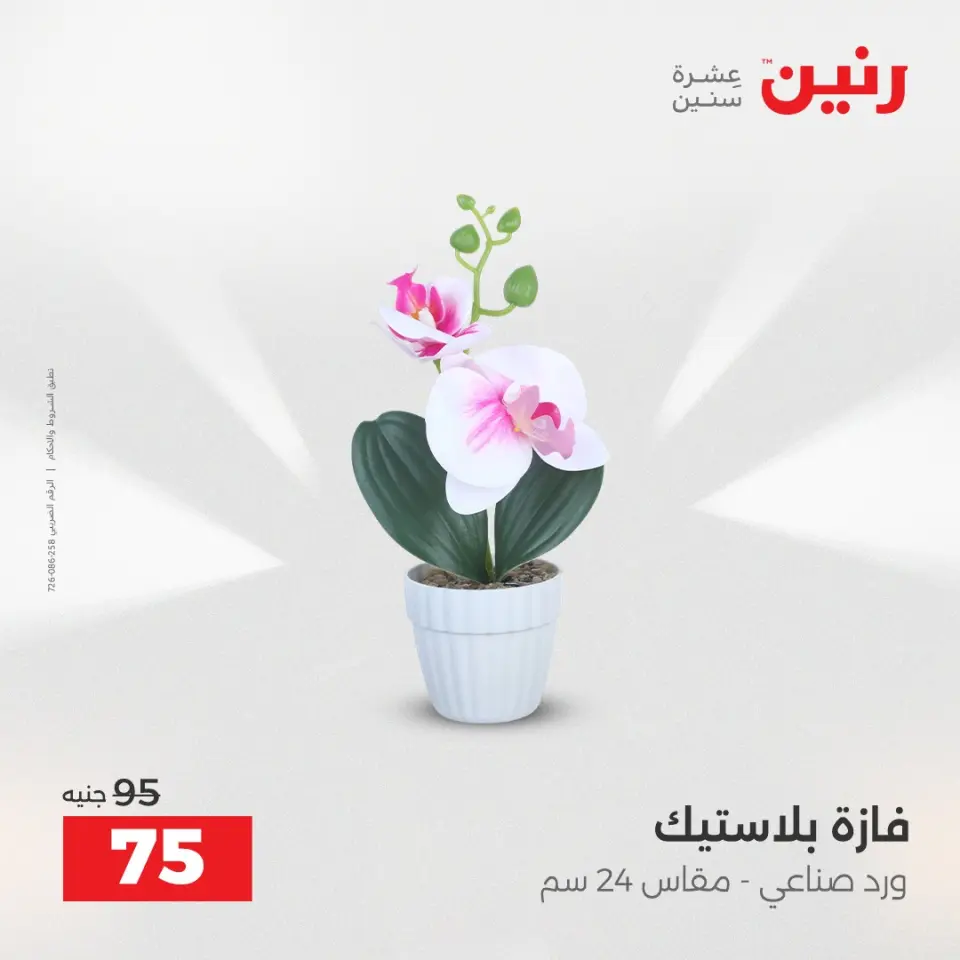 Raneen Egypt Offers from 23 to 24 December 2025 Decorative pieces offers - Page 35