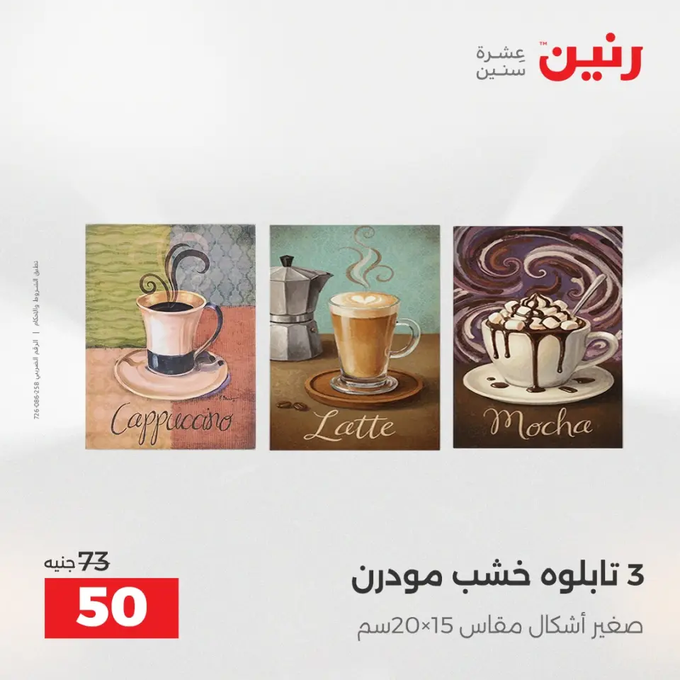 Raneen Egypt Offers from 23 to 24 December 2025 Decorative pieces offers - Page 11