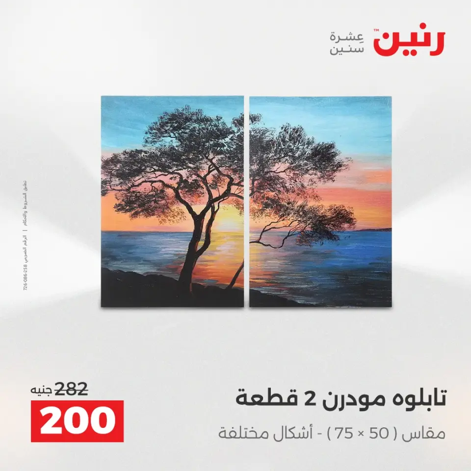Raneen Egypt Offers from 23 to 24 December 2025 Decorative pieces offers - Page 10