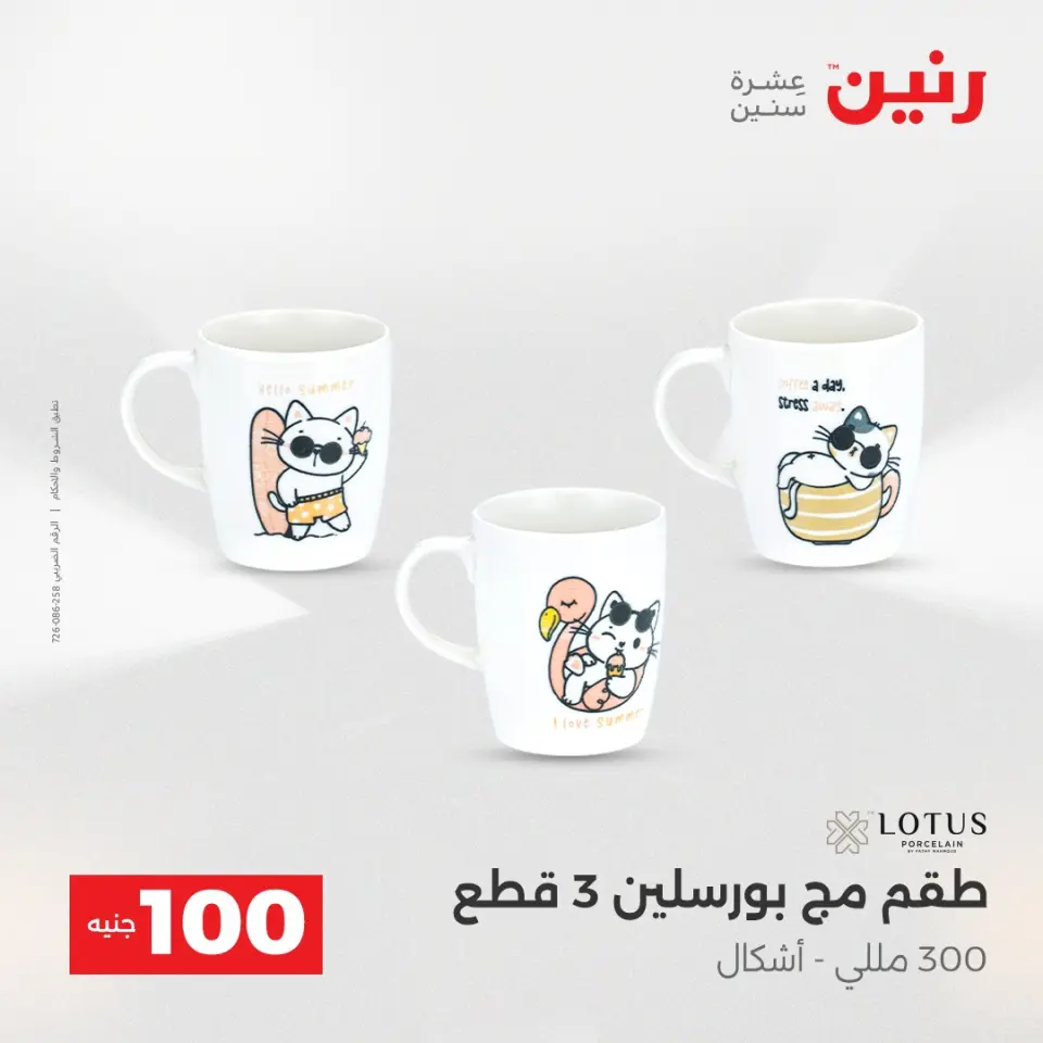 Raneen Egypt Offers from 23 to 24 December 2025 The 100 EGP Offer - Page 3