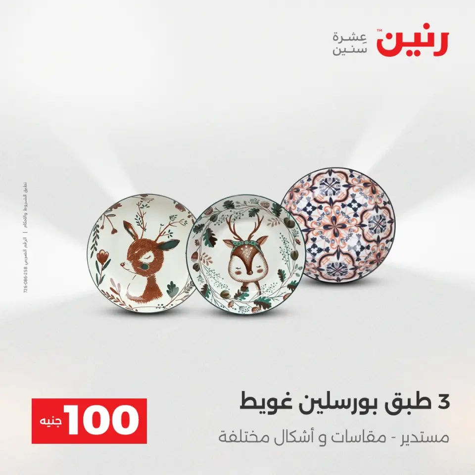 Raneen Egypt Offers from 23 to 24 December 2025 The 100 EGP Offer - Page 2