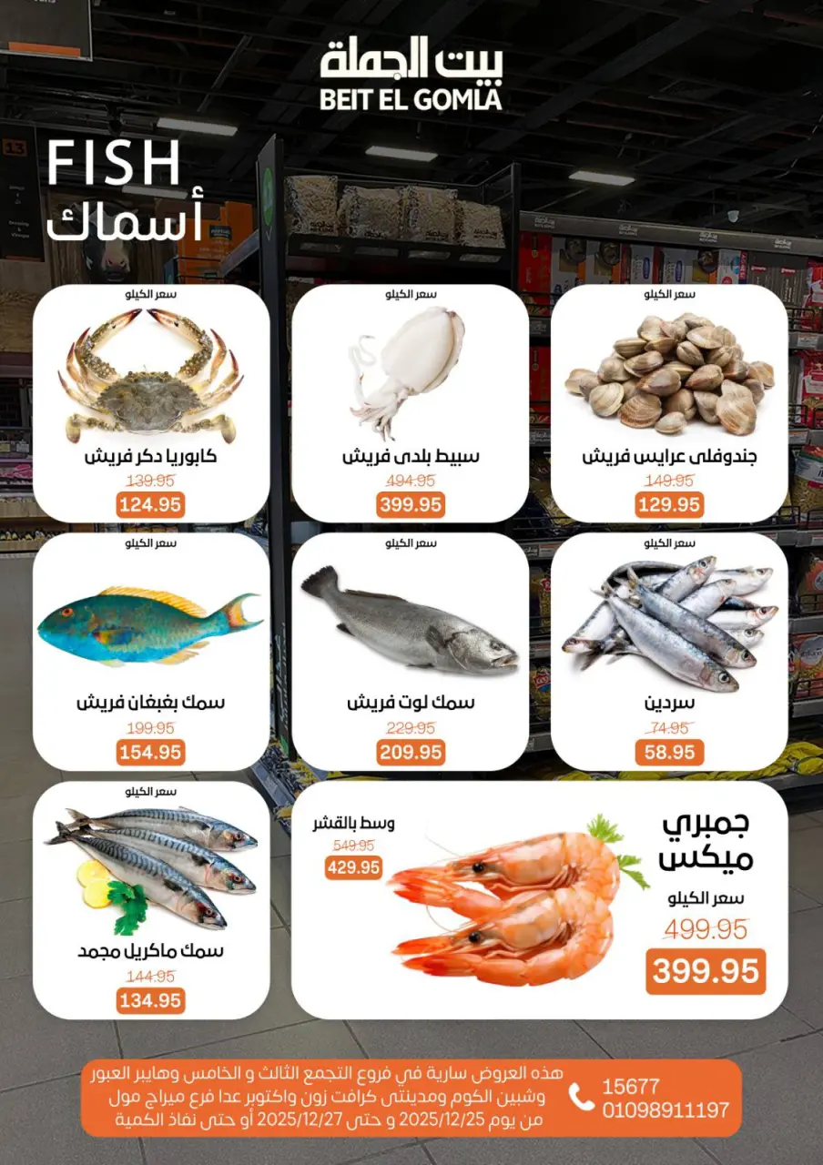 Gomla House Egypt Offers from 25 to 27 December 2025 Weekend Deals - Page 9