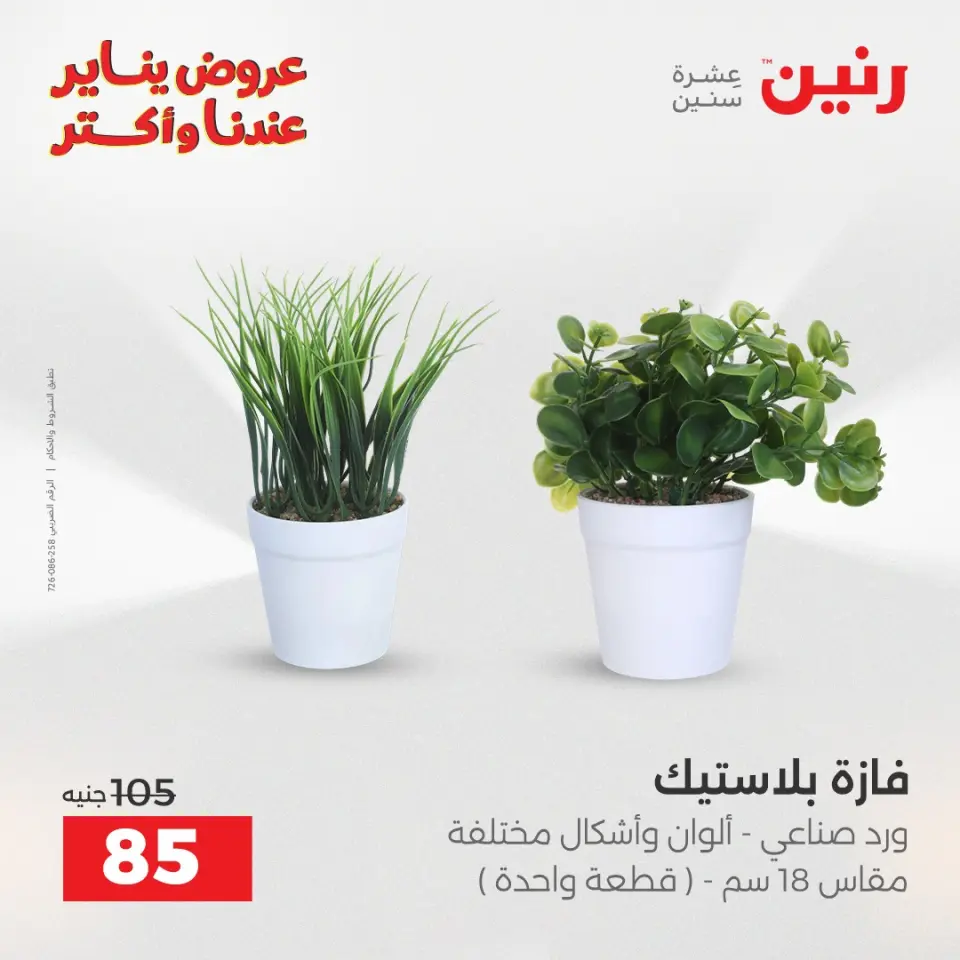 Raneen Egypt Offers from 28 to 29 December 2025 Decorative pieces offers - Page 38