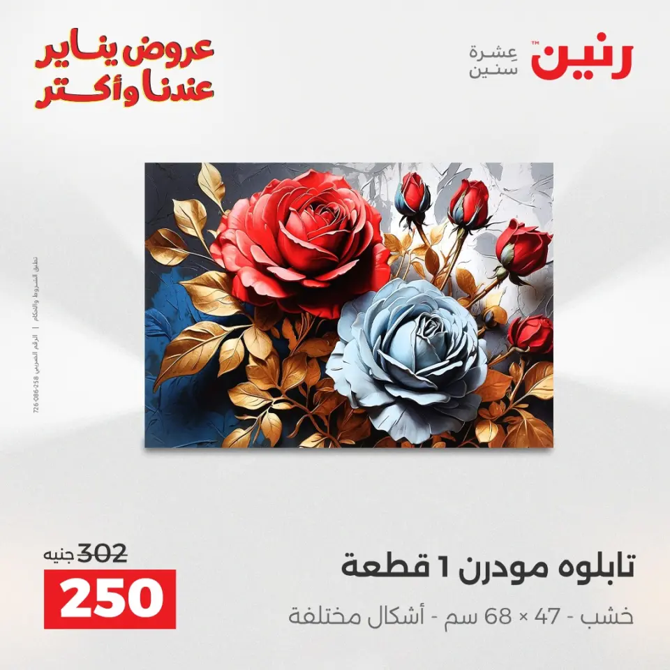 Raneen Egypt Offers from 28 to 29 December 2025 Decorative pieces offers - Page 9