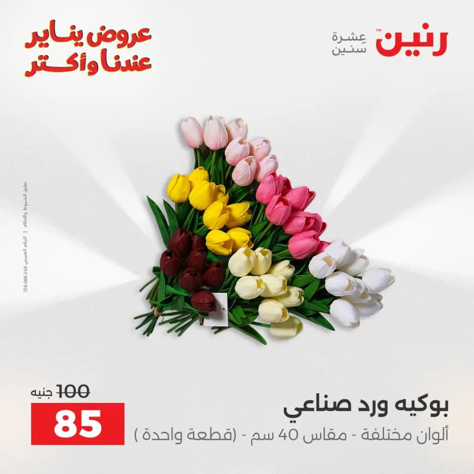 Raneen Egypt Offers from 28 to 29 December 2025 Decorative pieces offers - Page 40