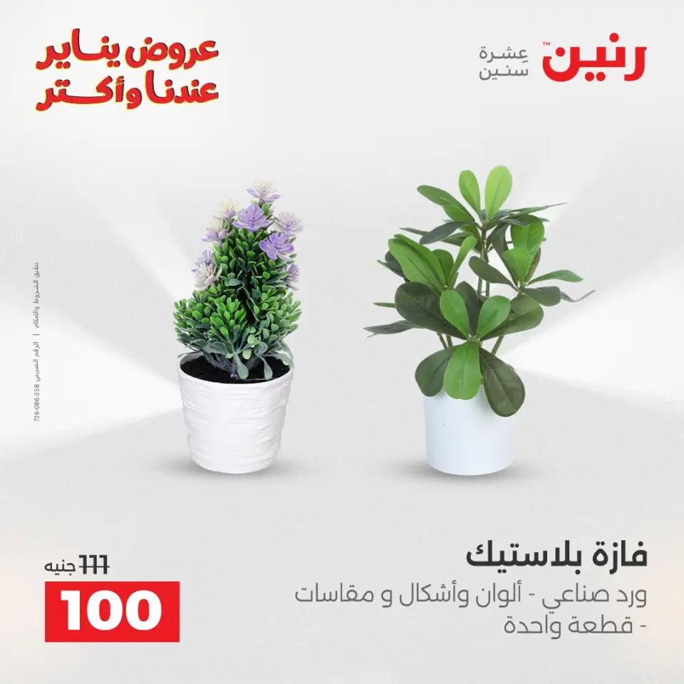 Raneen Egypt Offers from 28 to 29 December 2025 Decorative pieces offers - Page 39