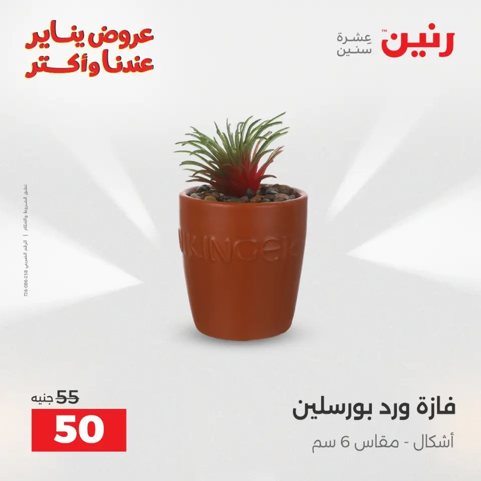 Raneen Egypt Offers from 28 to 29 December 2025 Decorative pieces offers - Page 29