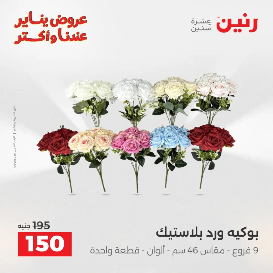 Raneen Egypt Offers from 28 to 29 December 2025 Decorative pieces offers - Page 34