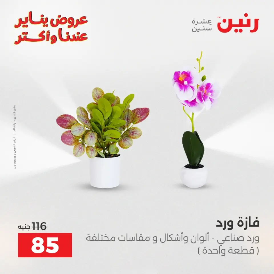 Raneen Egypt Offers from 28 to 29 December 2025 Decorative pieces offers - Page 41