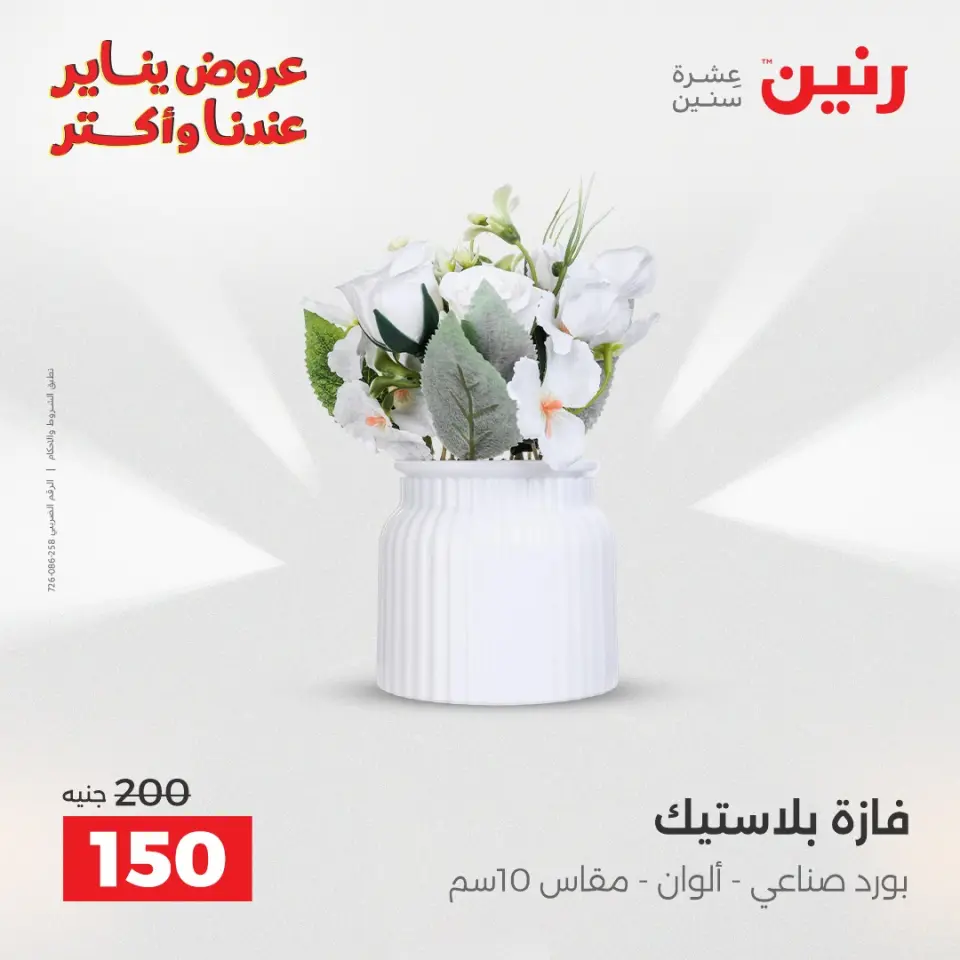 Raneen Egypt Offers from 28 to 29 December 2025 Decorative pieces offers - Page 25