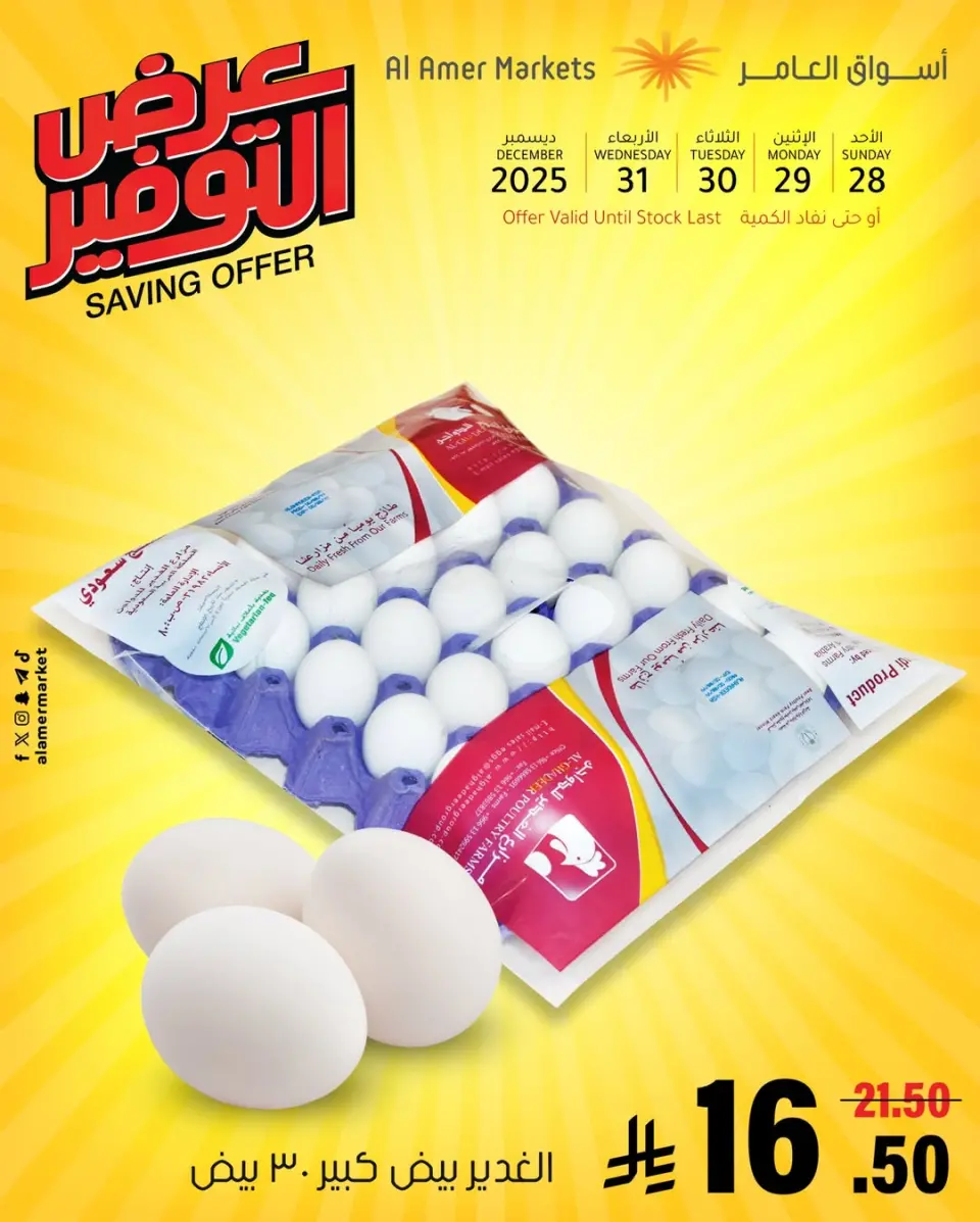 Al Amer market Saudi Arabia Offers from 28 to 31 December 2025 Saving Deals