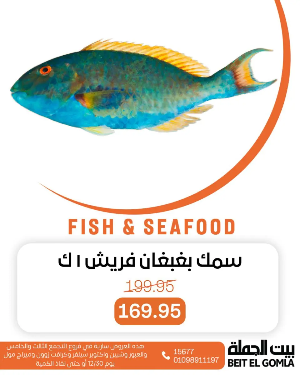 Gomla House Egypt Offers Tuesday 30 December Seafood Deals - Page 14