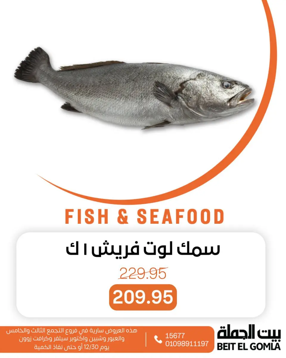 Gomla House Egypt Offers Tuesday 30 December Seafood Deals - Page 12