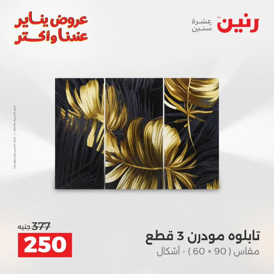 Raneen Egypt Offers from 30 to 31 December 2025 Decorative pieces offers - Page 7