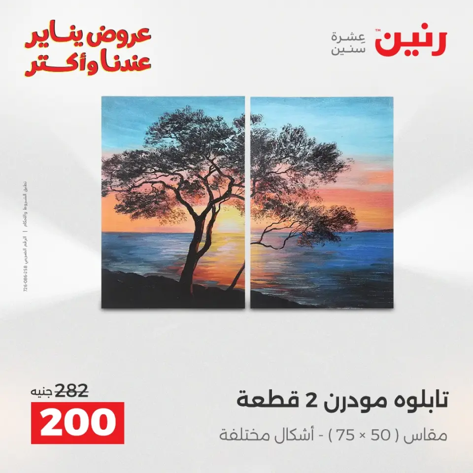 Raneen Egypt Offers from 30 to 31 December 2025 Decorative pieces offers - Page 10