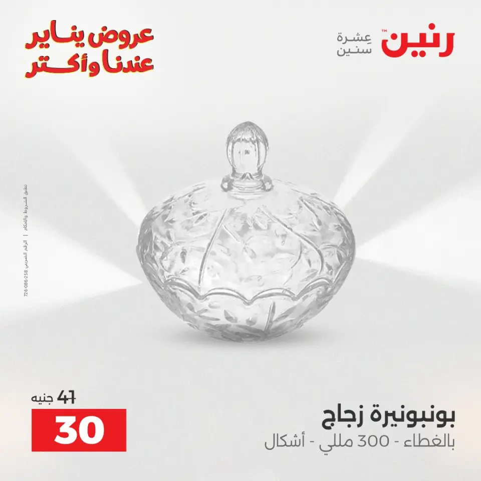 Raneen Egypt Offers from 1 to 3 January 2026 Decorative pieces offers - Page 36