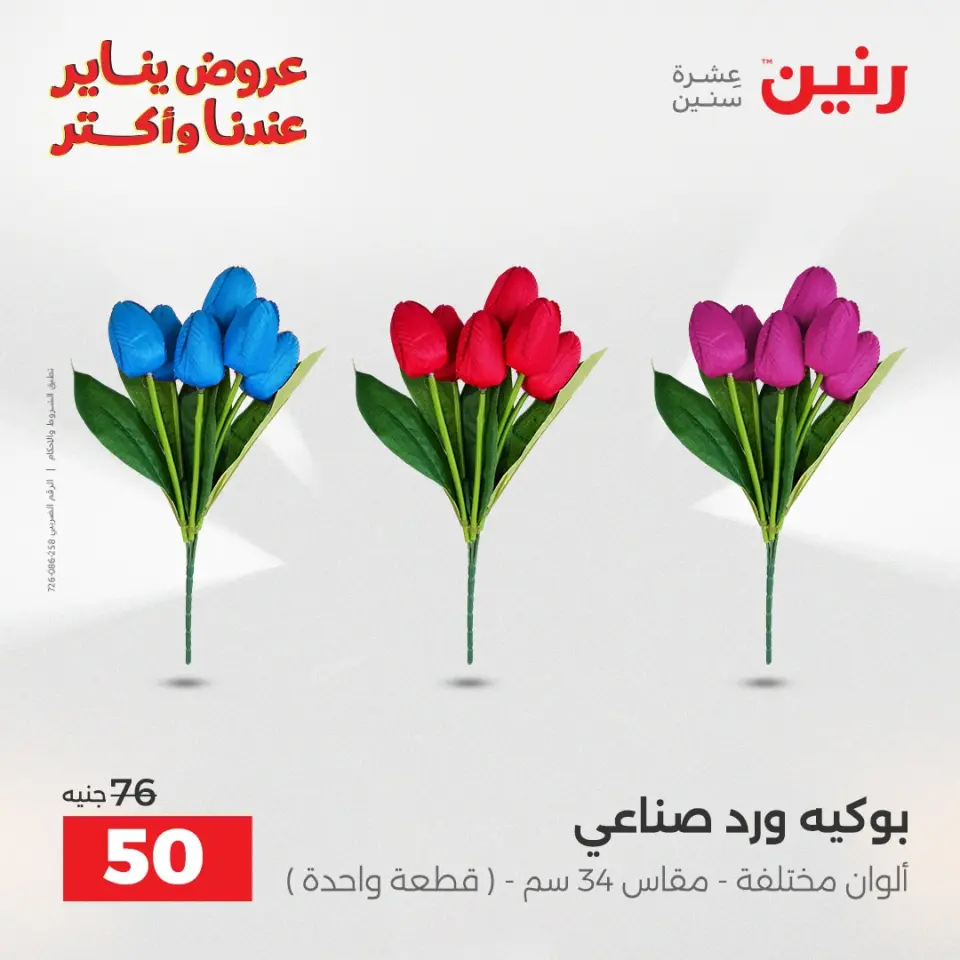 Raneen Egypt Offers from 1 to 3 January 2026 Decorative pieces offers - Page 42