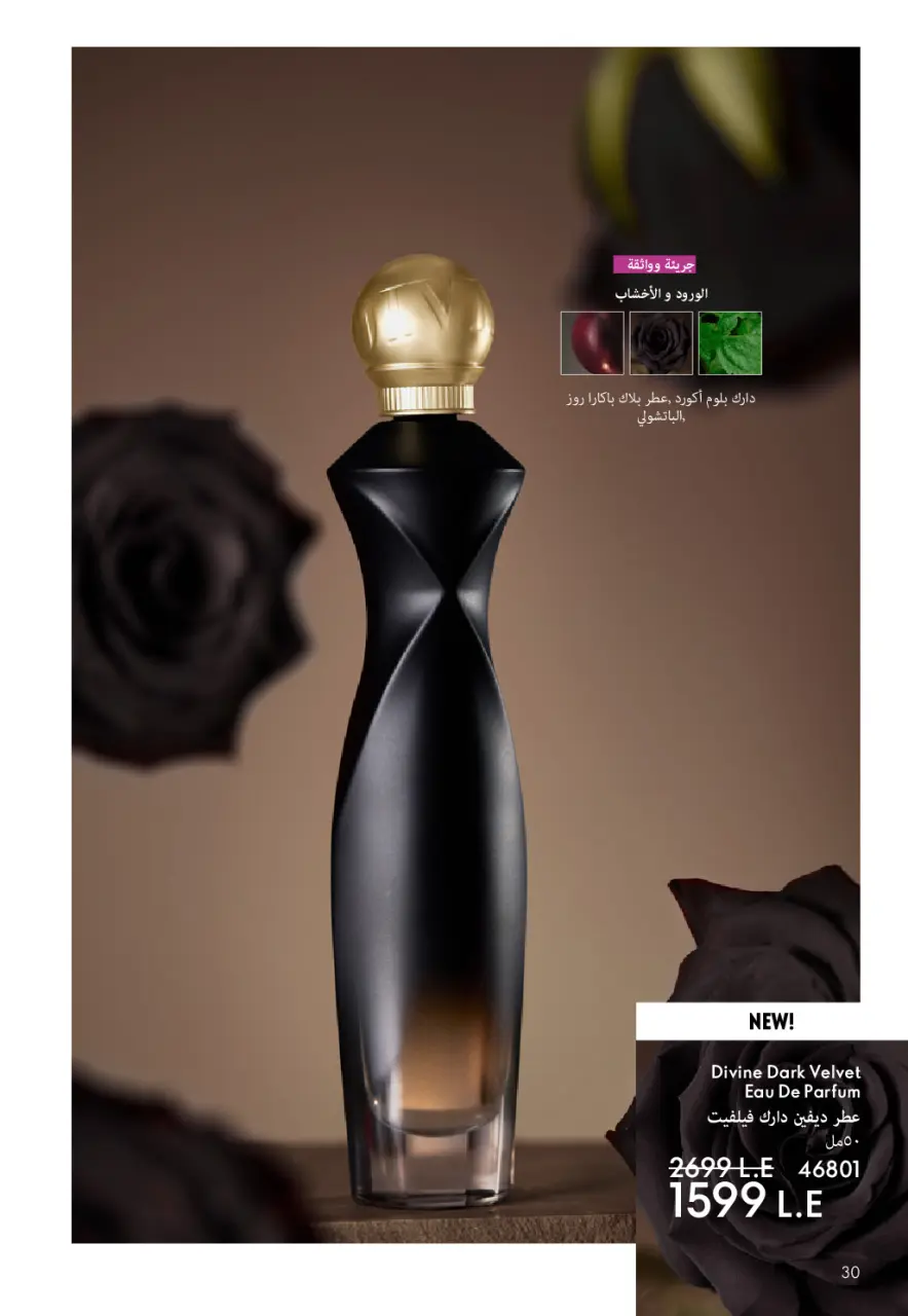 Oriflame Egypt Offers from 1 to 31 January 2026 January Offers Catalog - Page 31