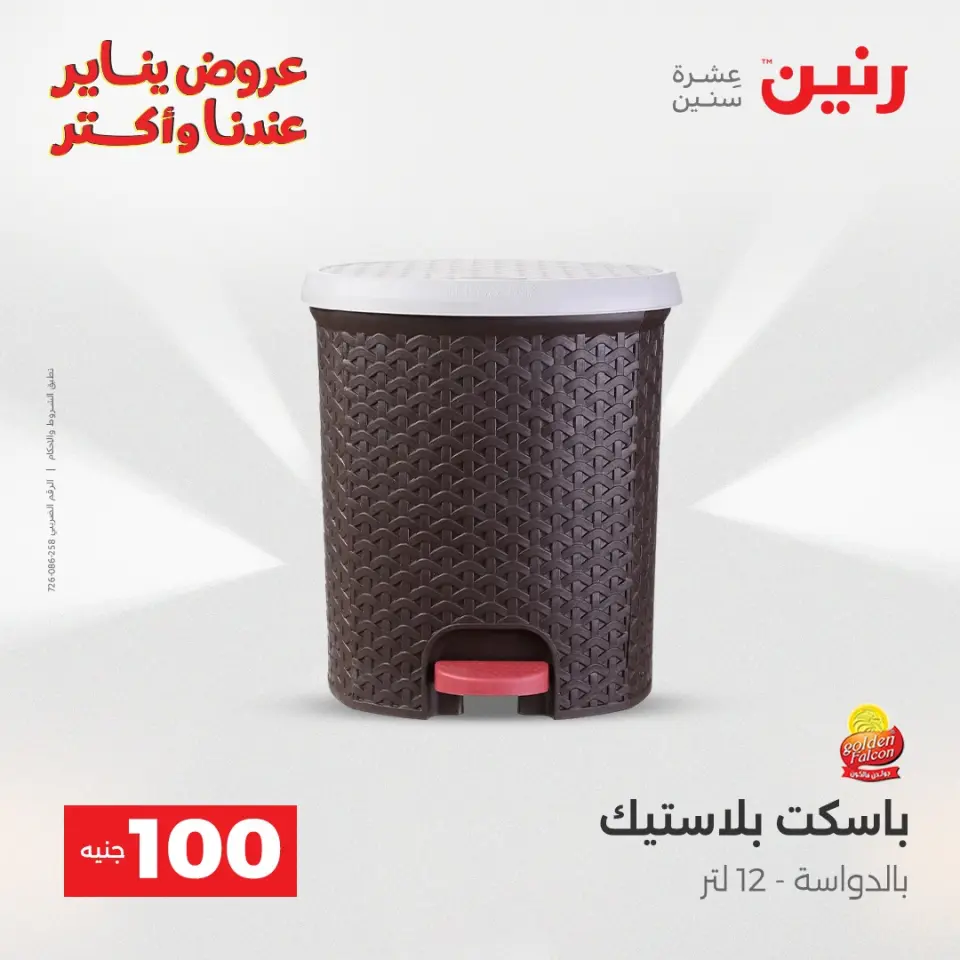 Raneen Egypt Offers from 6 to 7 January 2026 The 100 EGP Offer - Page 30