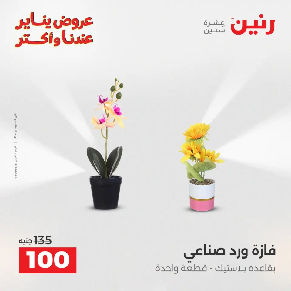 Raneen Egypt Offers from 6 to 7 January 2026 Decorative pieces offers - Page 31