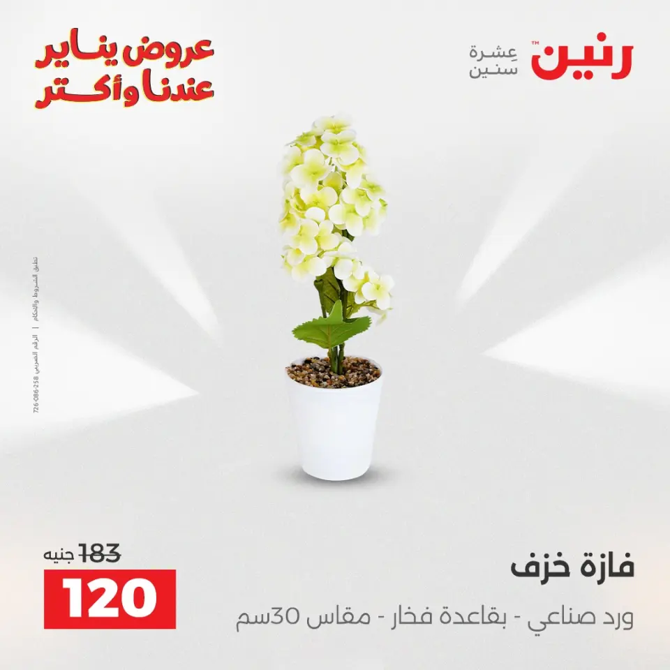 Raneen Egypt Offers from 6 to 7 January 2026 Decorative pieces offers - Page 28
