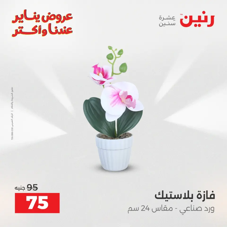 Raneen Egypt Offers from 6 to 7 January 2026 Decorative pieces offers - Page 32