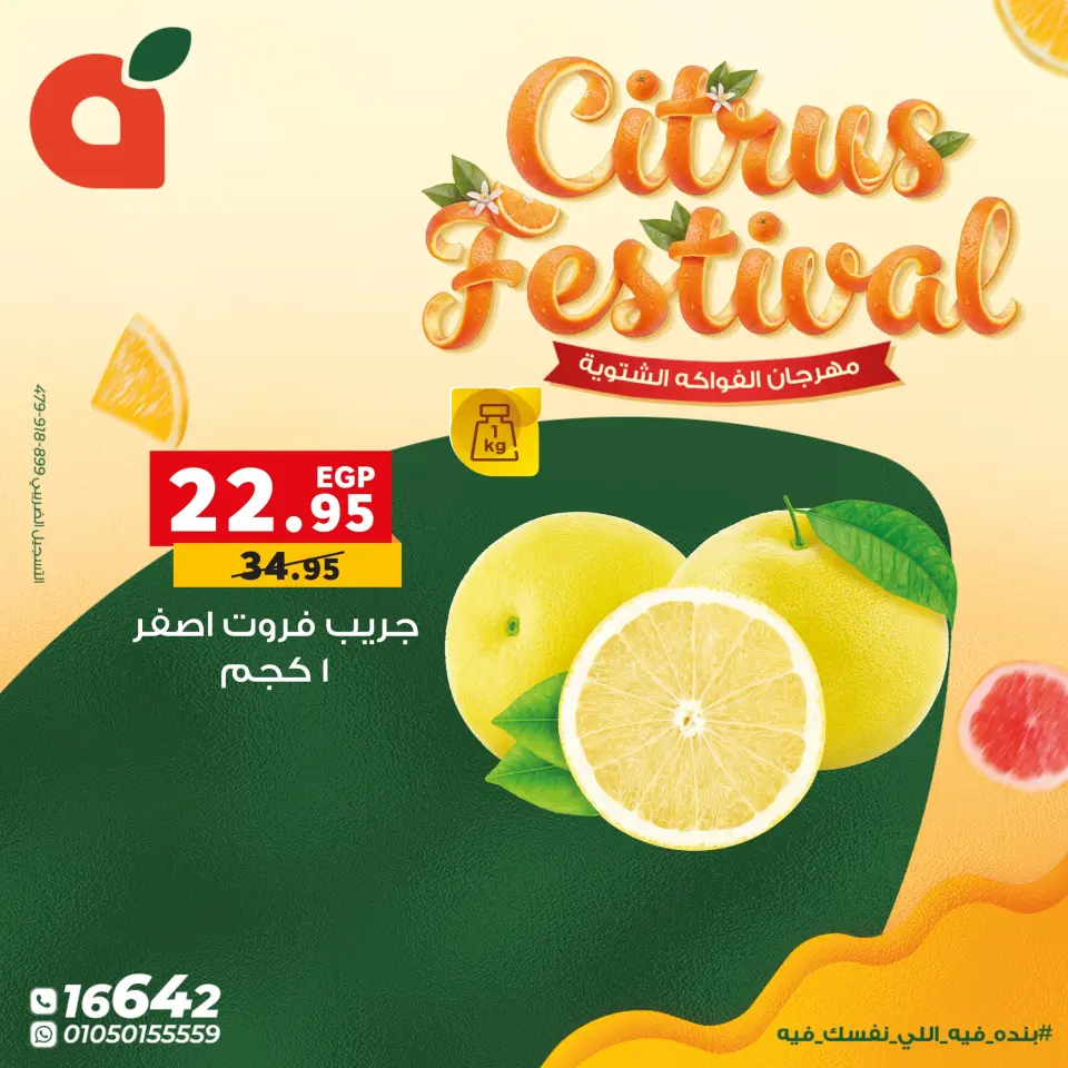 Panda Egypt Offers from 7 to 13 January 2026 Citrus Festival Offers - Page 10