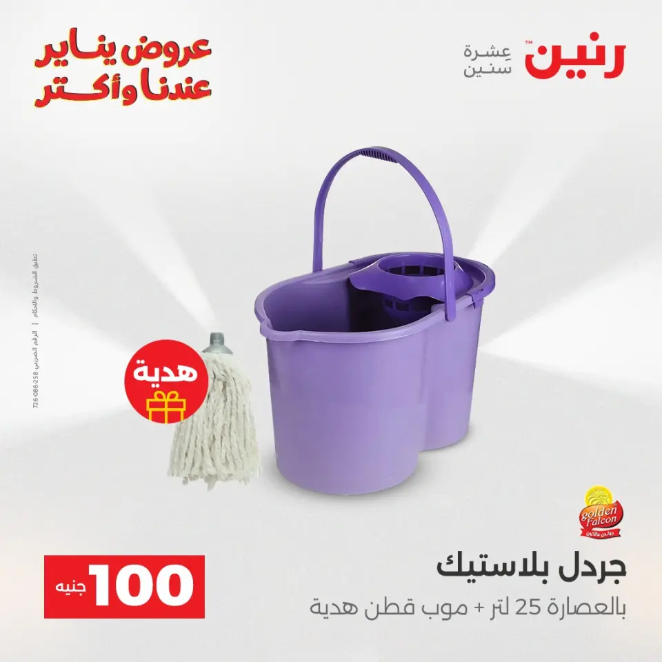 Raneen Egypt Offers from 13 to 14 January 2026 The 100 EGP Offer - Page 43