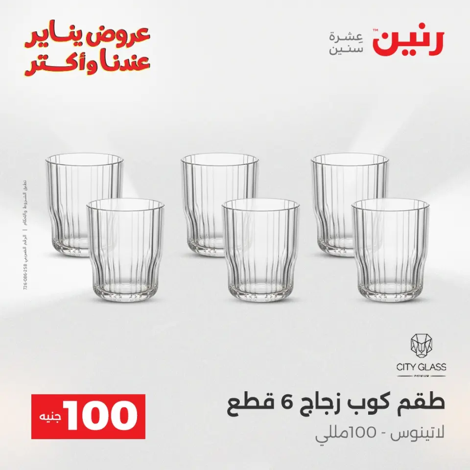 Raneen Egypt Offers from 13 to 14 January 2026 The 100 EGP Offer - Page 3