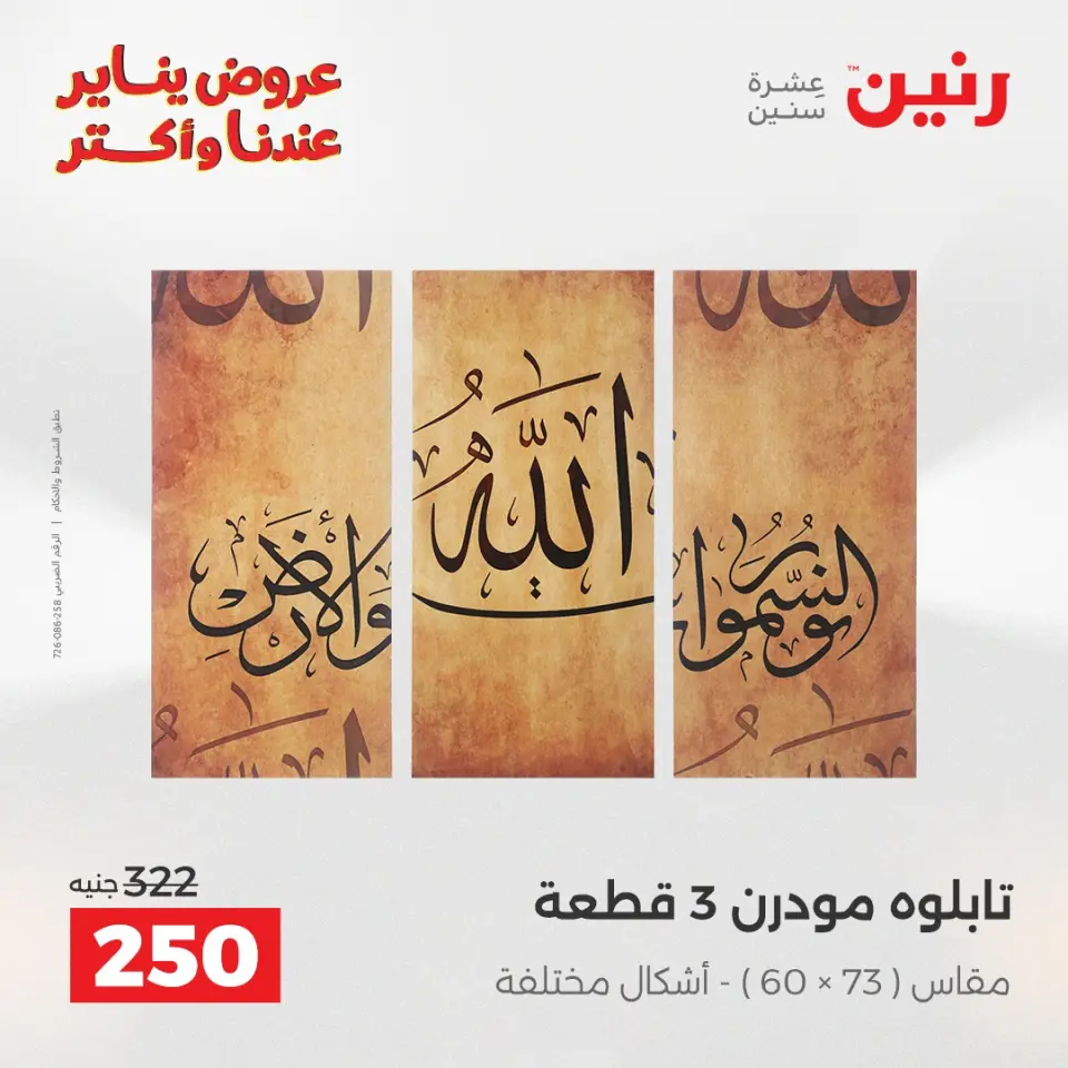Raneen Egypt Offers from 13 to 14 January 2026 Decorative pieces offers - Page 7