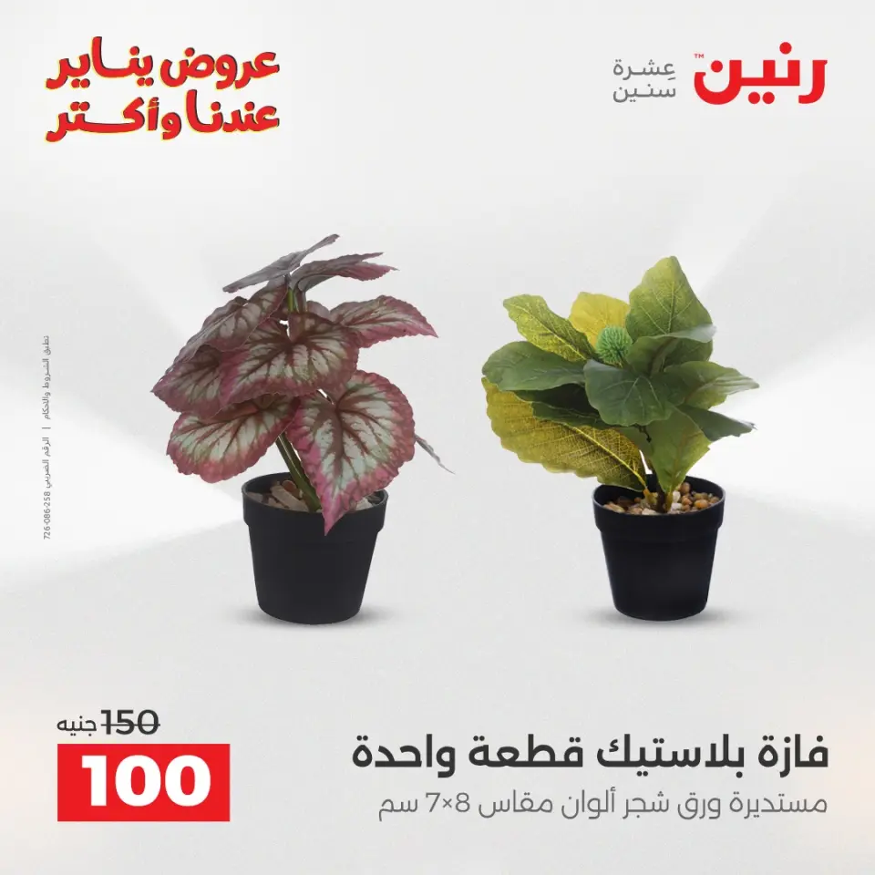 Raneen Egypt Offers from 13 to 14 January 2026 Decorative pieces offers - Page 34