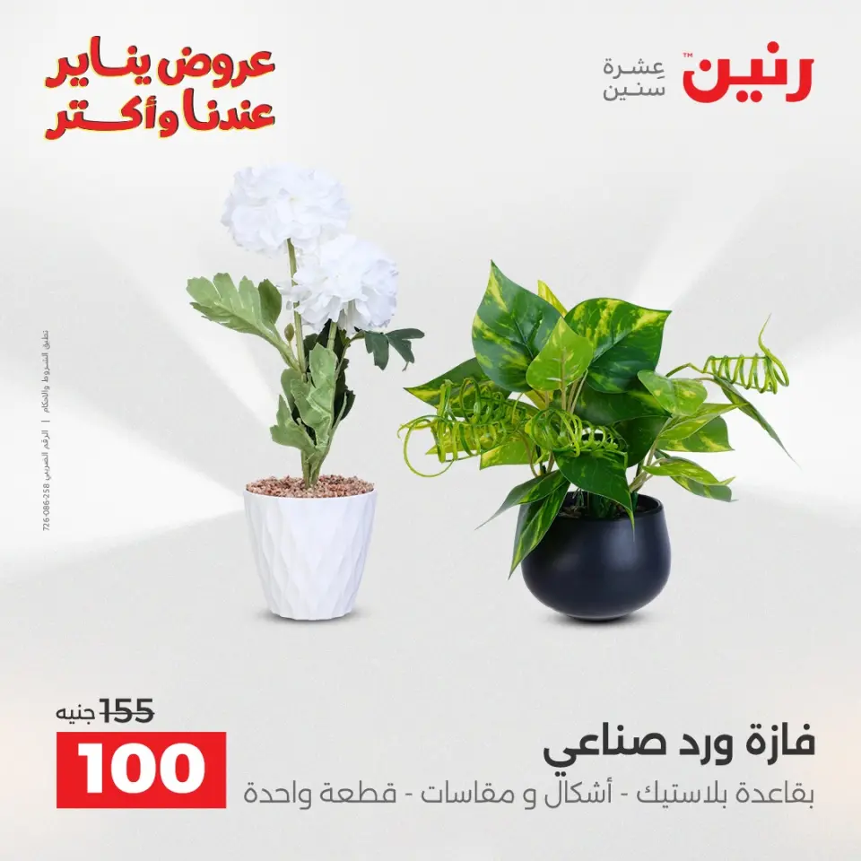 Raneen Egypt Offers from 15 to 17 January 2026 Decorative pieces offers - Page 32