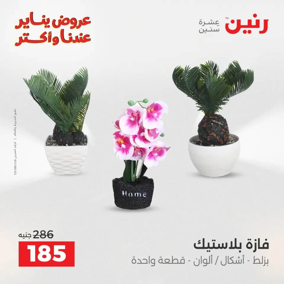 Raneen Egypt Offers from 15 to 17 January 2026 Decorative pieces offers - Page 28