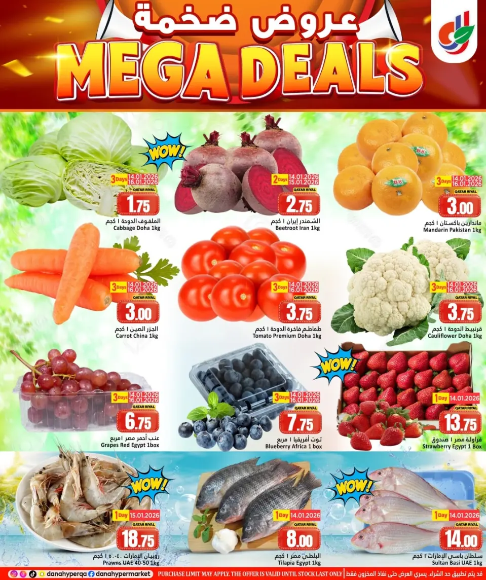 Offres Hypermarché Dana Qatar de 14 à 21 janvier 2026 MÉGA SOLDES - Page 2