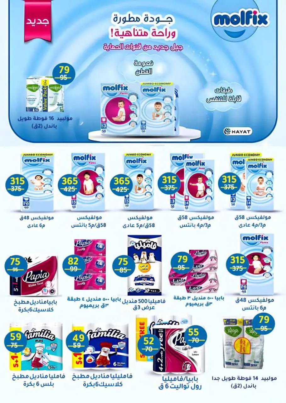Wekalet Elmansoura Egypt Offers from 15 January to 13 February 2026 Savers - Page 93