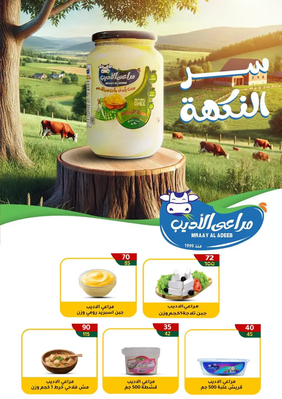 Wekalet Elmansoura Egypt Offers from 15 January to 13 February 2026 Savers - Page 6