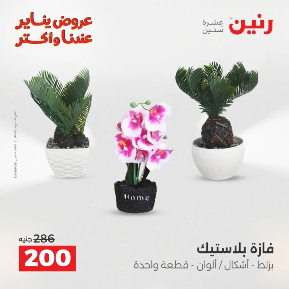Raneen Egypt Offers from 18 to 19 January 2026 Gifts and Decorations Offers - Page 26