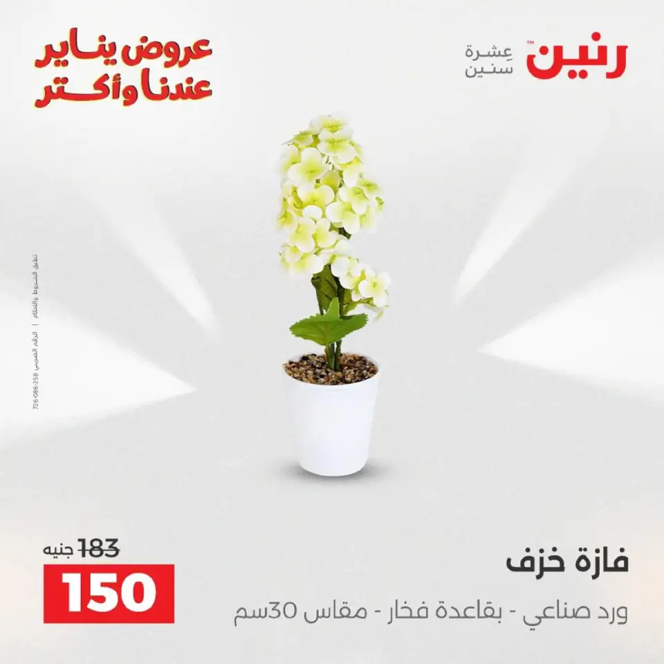 Raneen Egypt Offers from 18 to 19 January 2026 Gifts and Decorations Offers - Page 28