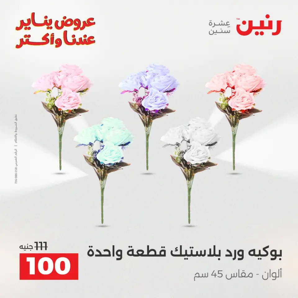 Raneen Egypt Offers from 20 to 21 January 2026 Decorative pieces offers - Page 41