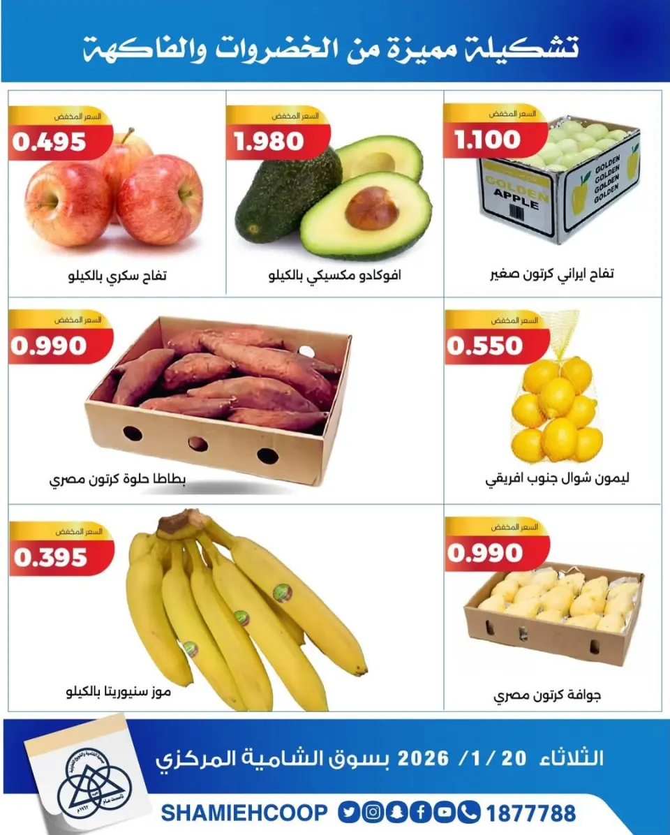 Shamieh coop Kuwait Offers Tuesday 20 January Vegetable and fruit offers - Page 2