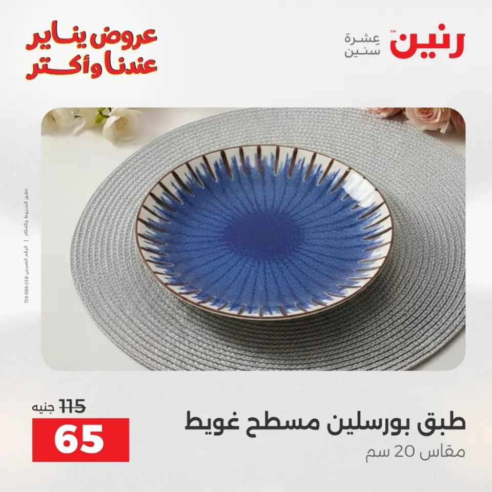 Raneen Egypt Offers Saturday 24 January The biggest discounts on individual porcelain plates and bowls - Page 12