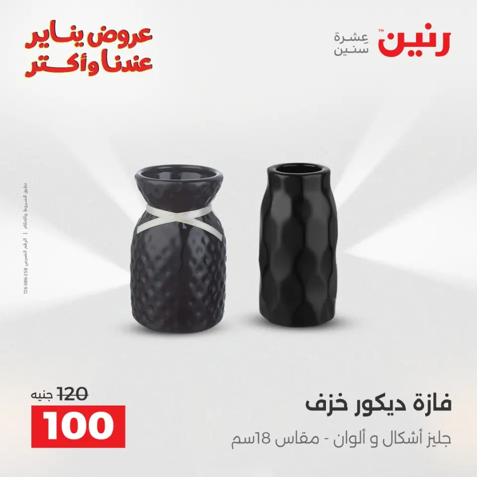 Raneen Egypt Offers from 25 to 26 January 2026 Decorative pieces offers - Page 25