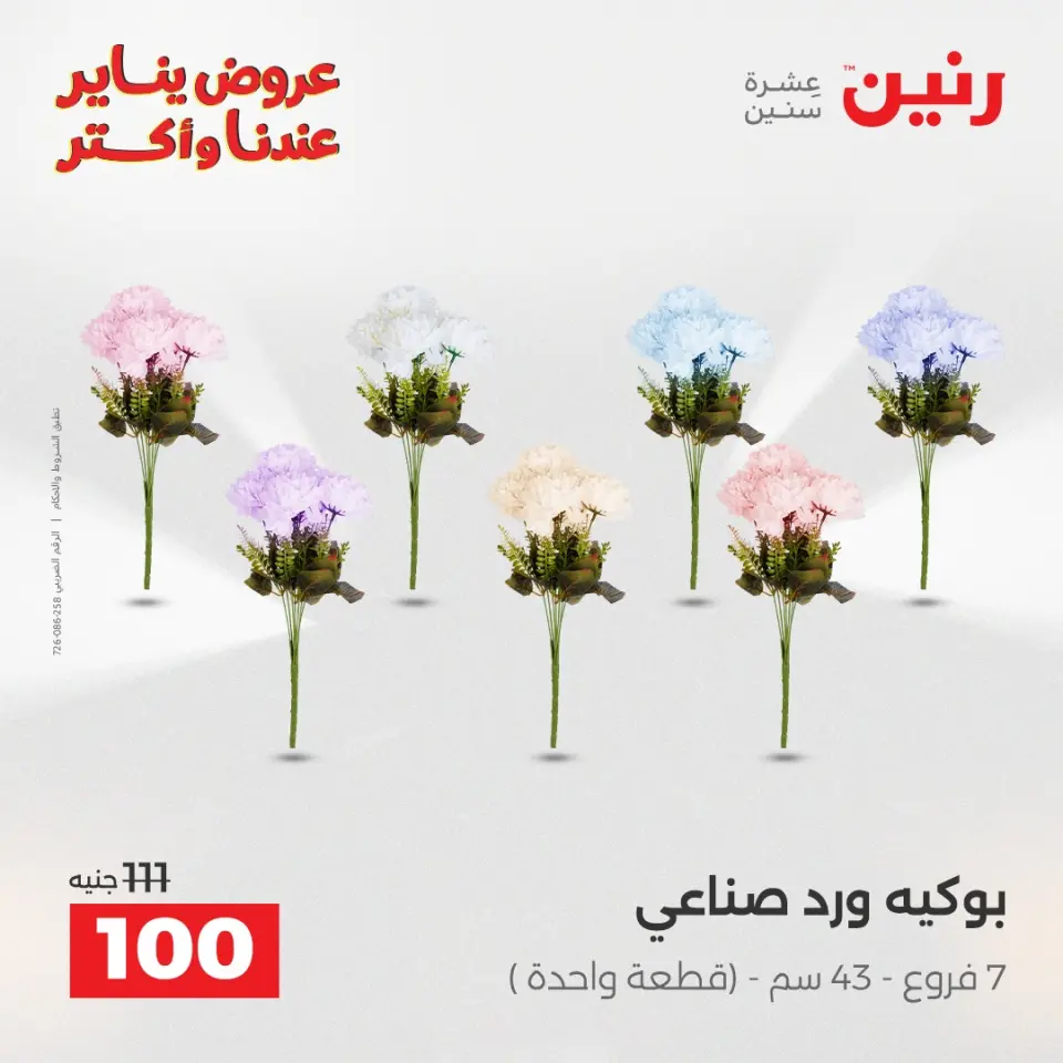 Raneen Egypt Offers from 25 to 26 January 2026 Decorative pieces offers - Page 36