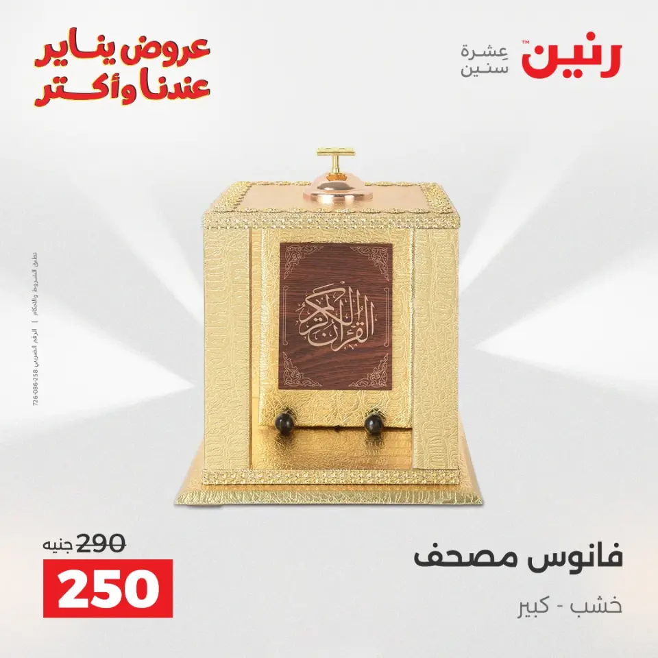 Raneen Egypt Offers from 25 to 26 January 2026 Decorative pieces offers - Page 20